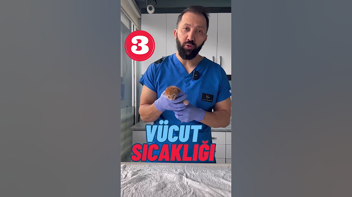 Yavru Kedinin Bakımında Önemli İpuçları - #yavrukedi