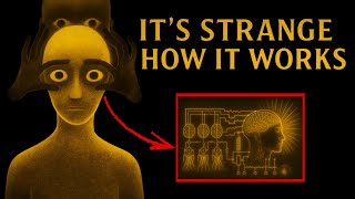 Quantum Manifestation Works Backwards — And Nobody Realizes It
