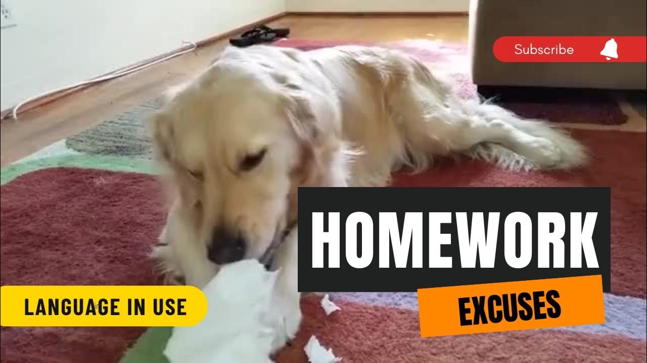 100 best excuses for not doing homework