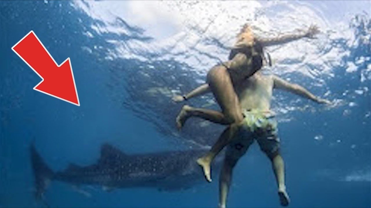 Youtube Fischen Youtube Fischen