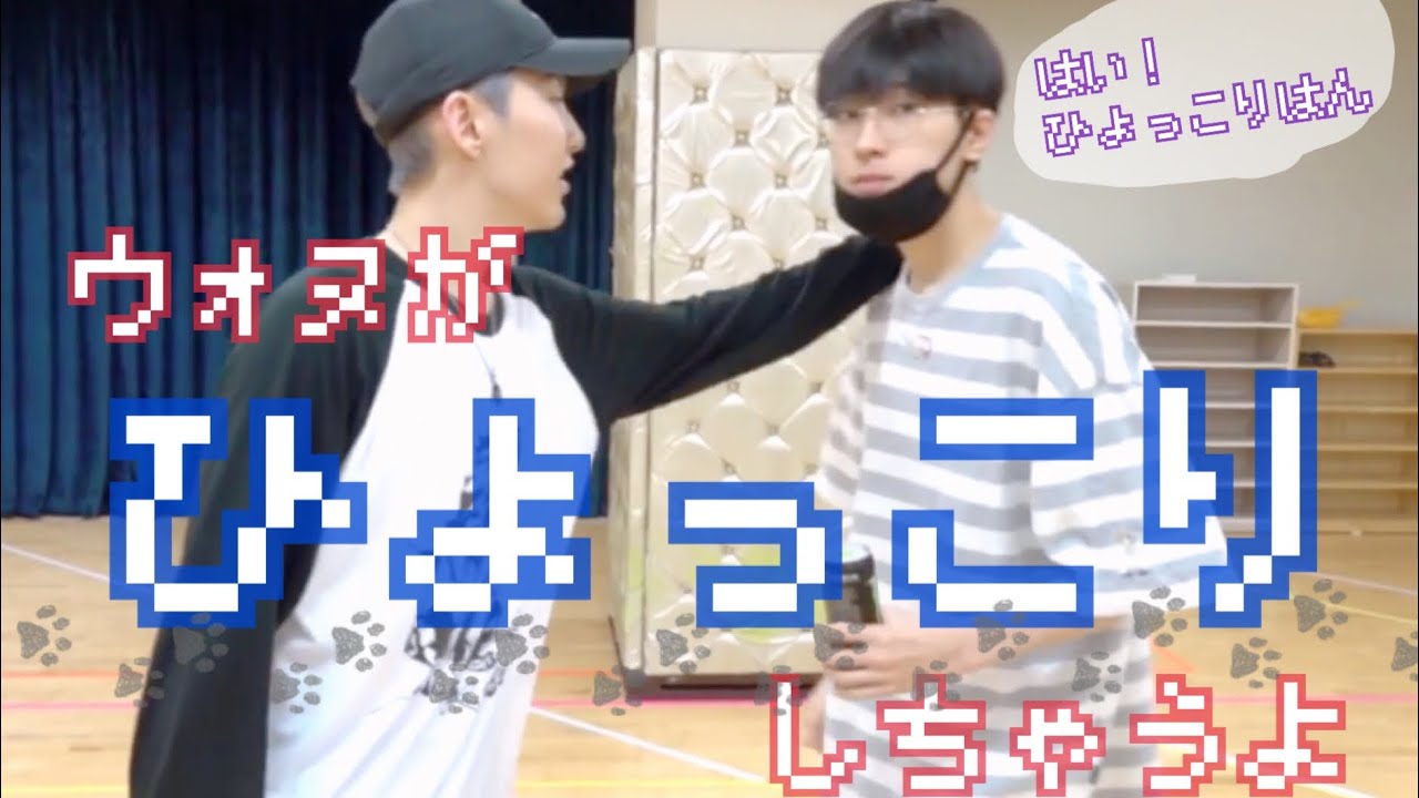 はい、ひょっこりはん【SEVENTEEN Wonwoo】