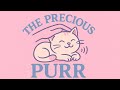 Unedited cat petting and purring!!