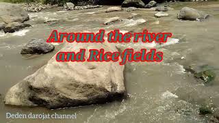 Around The River And Rice Fields - Daily Activities In The Village