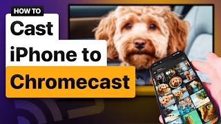 How to Cast iPhone to Chromecast - Full Guide [2025]