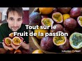 Fruit de la passion  nutrition bienfaits comment le manger