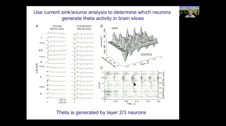 Plenary 13 - Origin of EEG - TSC2020 - Origin of EEG