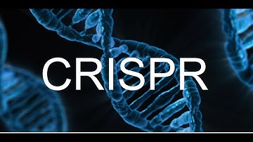 CRISPR and Stem Cells
