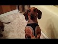Middle of video