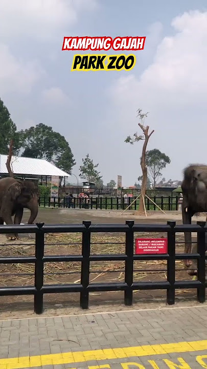 Park Zoo “Kampung Gajah”