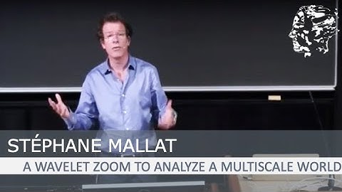 Stéphane Mallat: A Wavelet Zoom to Analyze a Multiscale World