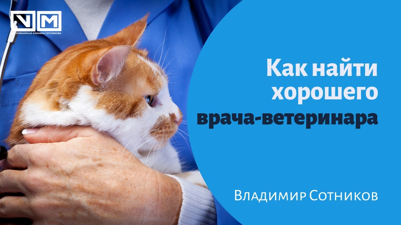 Смотреть Как найти хорошего врача видео Смотреть Как найти хорошего врача видео