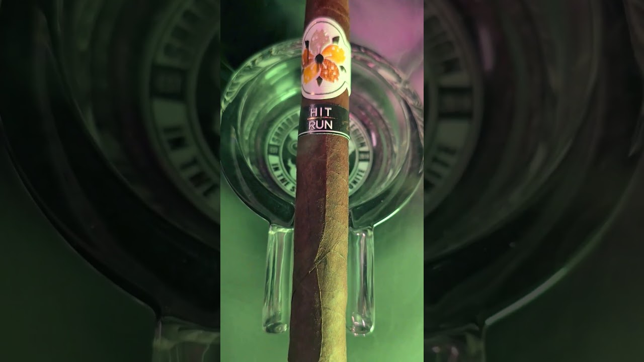 Room 101 Hit and Run Redux 2024 