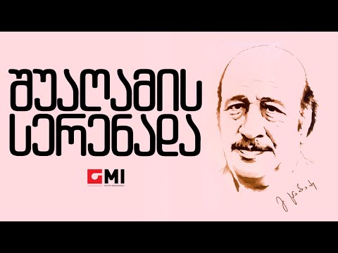 ნანი ბრეგვაძე - შუაღამის სერენადა / Nani Bregvadze -  Shuaghamis Serenada