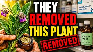 WHY THEY REMOVED THIS HEALING PLANT FROM MODERN MEDICINE — But Never Left Old Gardens #homesteading