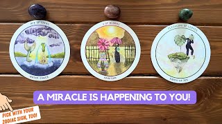 A Miracle is Happening to You! | Timeless Reading screenshot 3
