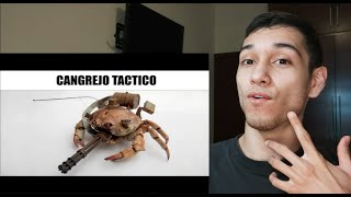 REACCIONANDO A MEMES RANDOM #356 !SUPER RANDOM!