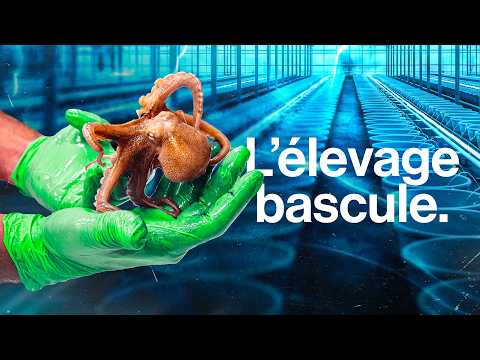 A Million-Octopus Farm… More Complicated Than Expected?
