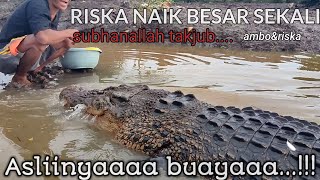 asli nya buaya..riska naik besar sekali,takjub banget !! tame crocodile