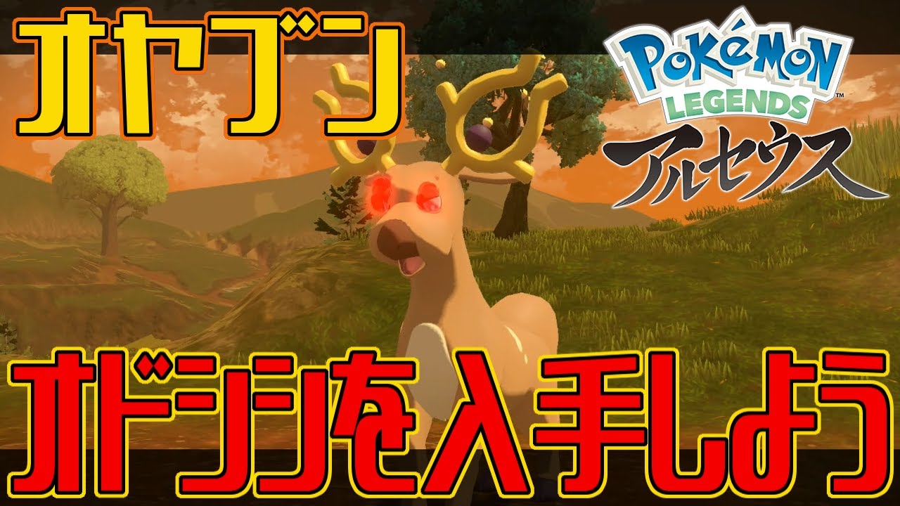 ポケモンアルセウス オヤブンのオドシシを入手しよう Pokemon Legends アルセウス Youtube