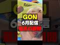 GON6月配信最高の瞬間【GON/GON切り抜き/スプラトゥーン3】#shorts #gon切り抜き #切り抜き#おすすめ #gon #スプラトゥーン3
