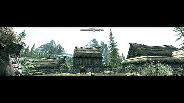 Skyrim Flicker Problem