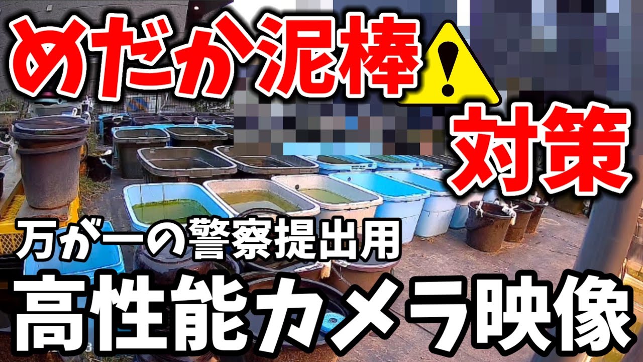 めだか泥棒対策‼️被害抑止効果抜群【激安高性能防犯カメラ/EZVIZ EB3