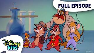 risky beesness chip n dale s rescue rangers s1 e9 full episode