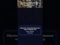 Создание и реклама игр. Game Dev журнал №843