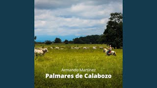Miniatura de vídeo de "Armando Martínez - Palmares de Calabozo"