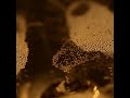 Etoilè Sparkle 7 Perlage Points Enrich The Aromas Of Sparkling Wines Etoilè Sparkle 7 Perlage Points Enrich The Aromas Of Sparkling Wines
