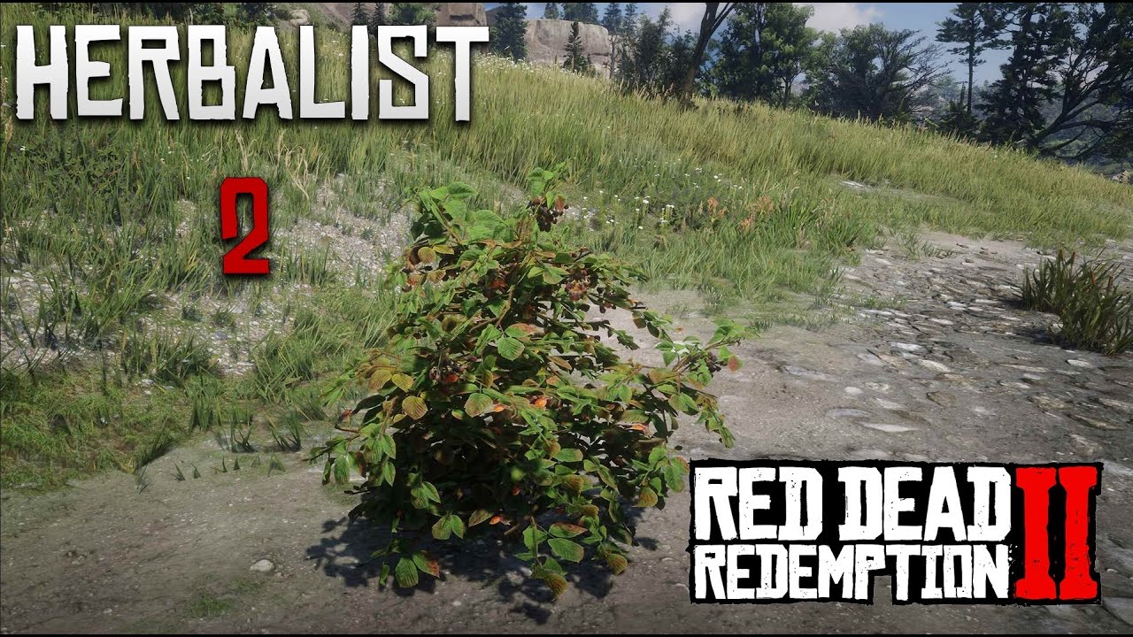 Red Dead Redemption 2 | Herbalist Challenge 2 - Pick & Eat 4 Species of ...