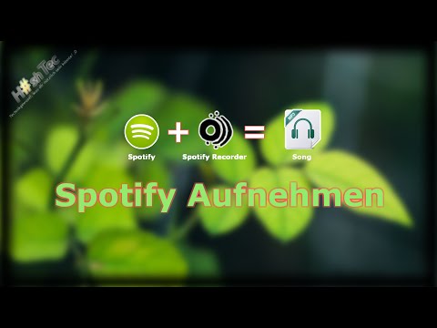 Dojotech Spotify Recorder - deccmnet