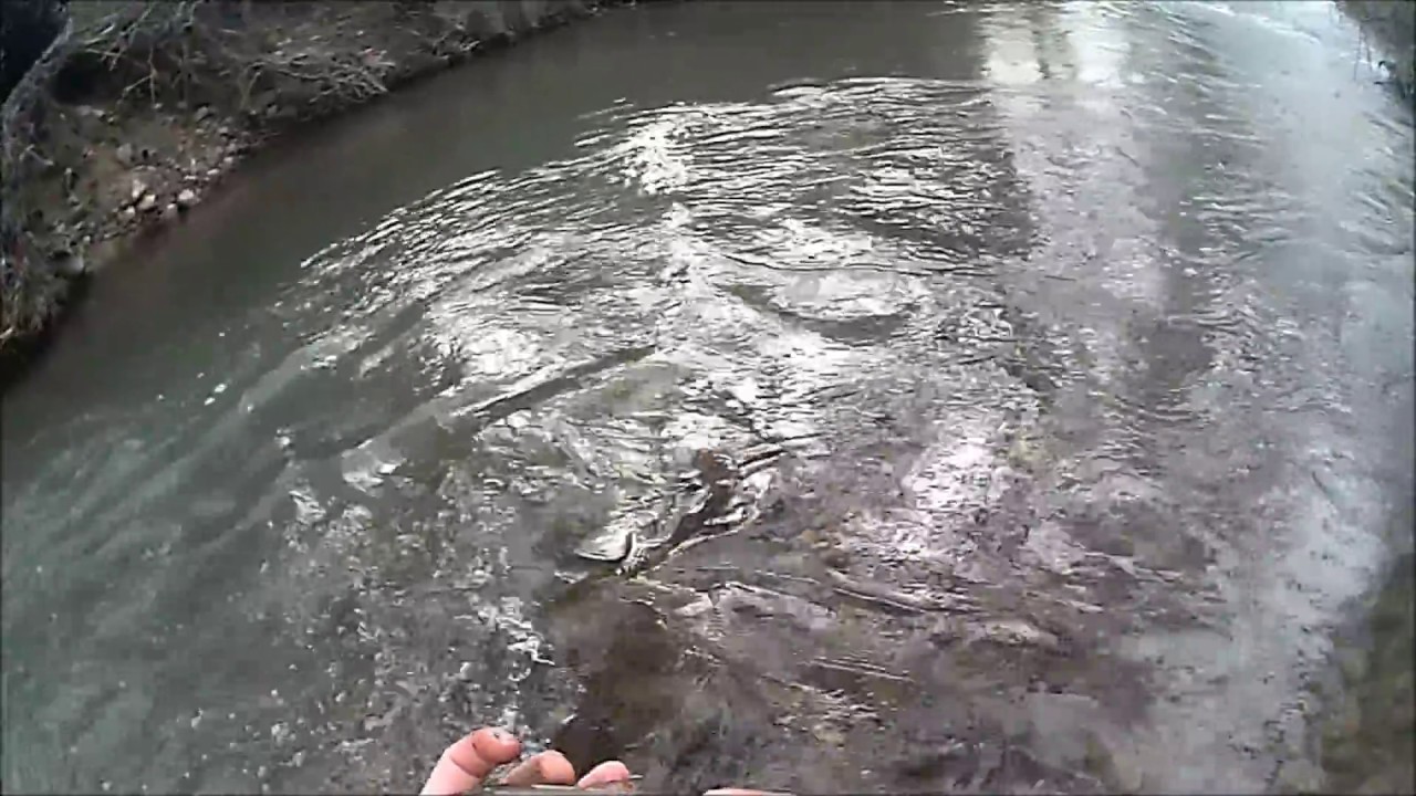 Peche de la truite fario en Béarn(64)