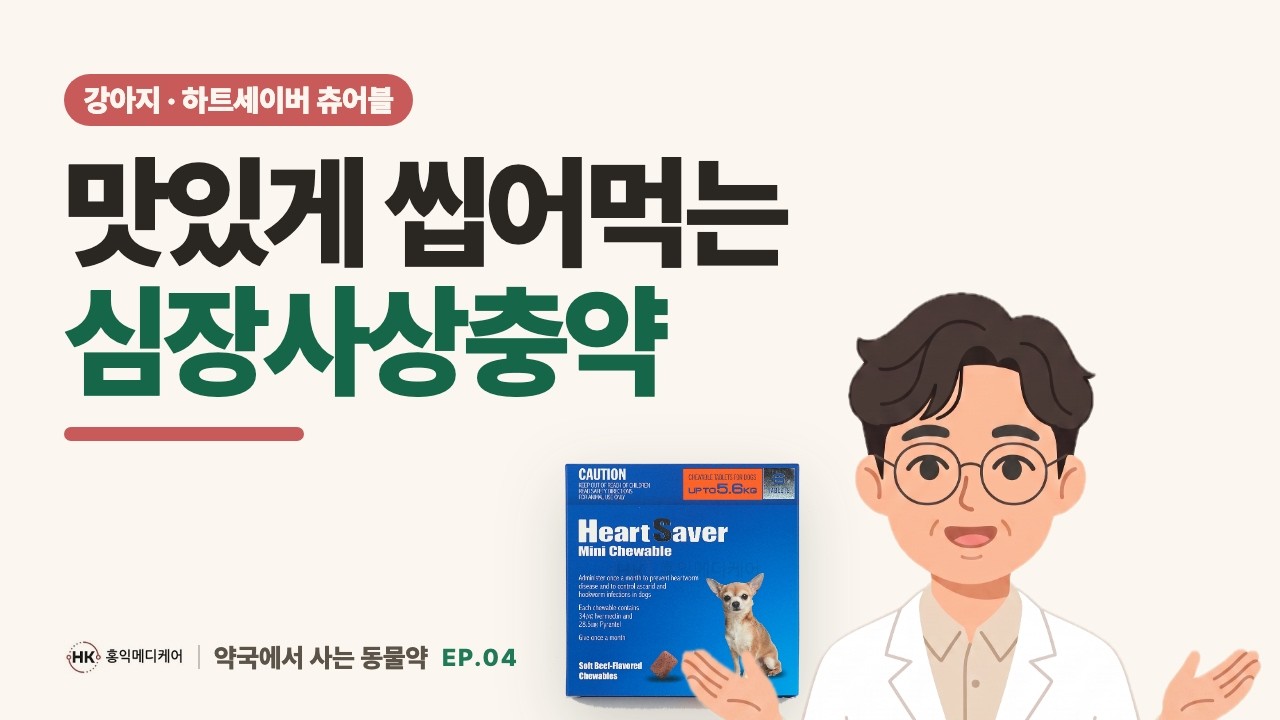맛있게 씹어먹는 강아지 심장사상충 예방약 하트세이버 판매하는 약국 알려드려요~