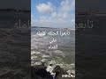 كلمه في سوره الأنبياء عصرت قلبي