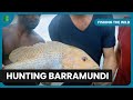 Catch big barramundi  fishing the wild  nature documentary