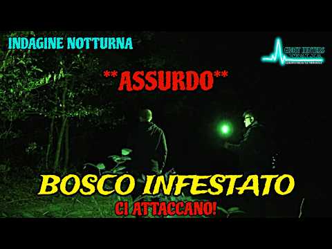 CI ATTACCANO IN UN BOSCO INFESTATO! **ASSURDO**