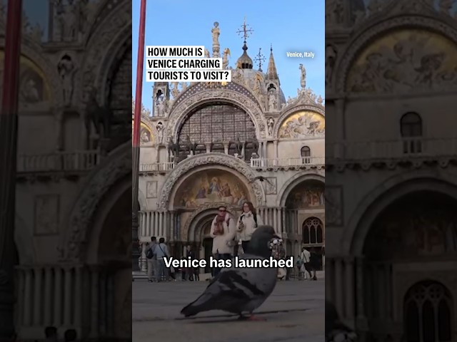 How much is Venice charging tourists to visit?