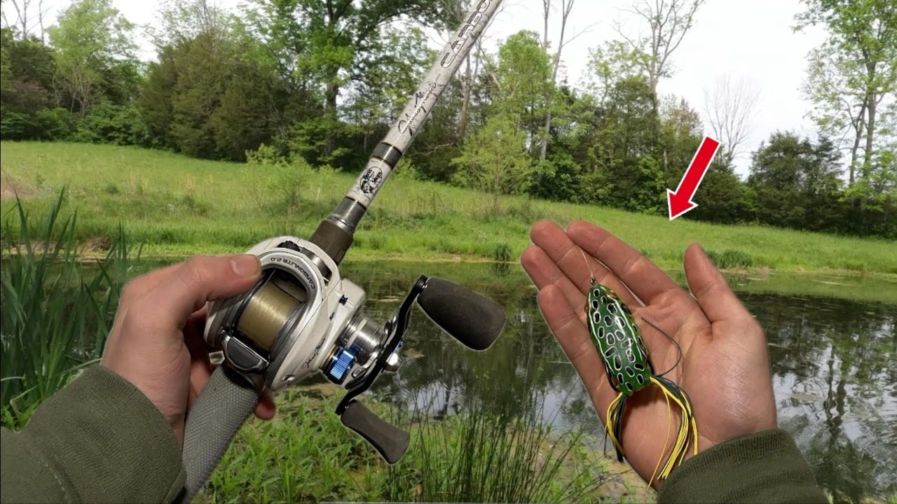 Fishing for BIG BASS at a TROPHY POND w/ Frogs (BANK FISHING)