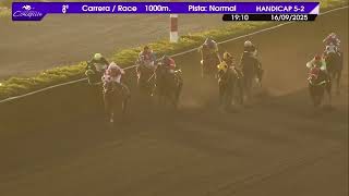 Vidéo de la course PMU NANKING