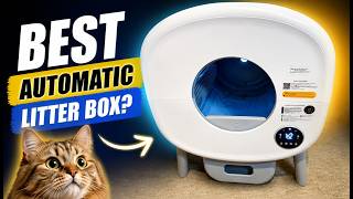 This Self Cleaning Litter Box Changed My Life
