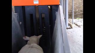 Gallagher Auto Drafter user story - Cuthbertson Bros