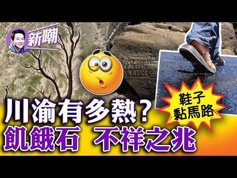 罵上熱搜：上海灘限電一片黑，嚴浩翔慶生雙塔亮！黨媒災難娛樂化，「川渝人民要哭了」被罵上熱搜！三大湖乾涸，「大地之樹」觸目驚心！「飢餓之石」再現，預言要成真？【新聞最嘲點 姜光宇】2022.0823