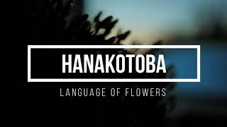 Hanakotoba - language of flowers