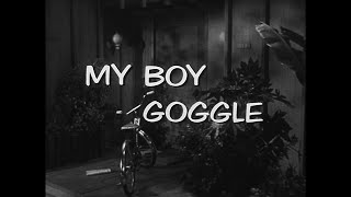 My Son Goggle (1964) Unsold Pilot starring Jerry Van Dyke