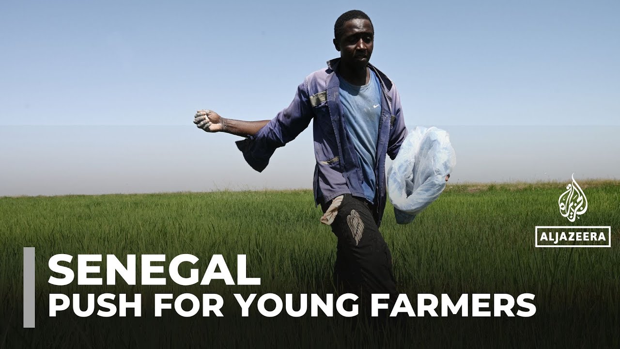 Сенегал запускает сельскохозяйственную инициативу для поддержки безработных выпускников