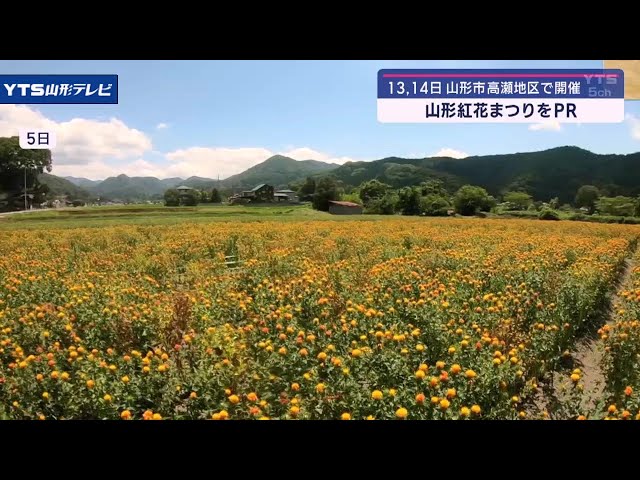 やまの花まつり 富士芝桜まつり｜富士本栖湖リゾート【公式】