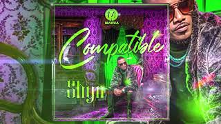 Video thumbnail of "Shyn - Compatible [Audio 2020] NEW🔥"