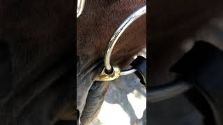 How your bit should fit!