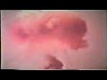 Airburst nuclear test at Semipalatinsk test site